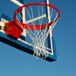 INEL BASCHET FLEXIBIL (CU ARC), COD 108