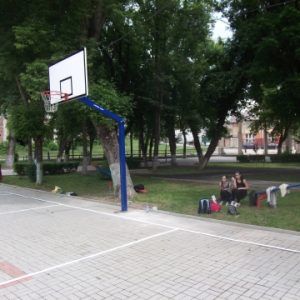 INEL DE BASCHET SIMPLU, CU LANT, COD 261-LANT