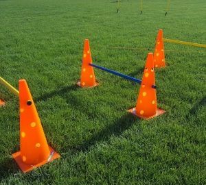 CON ANTRENAMENT Gaurit ,inaltime 45 cm, COD 4983