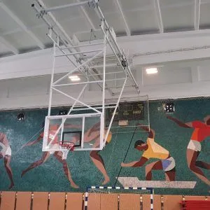 SISTEM BASCHET RABATABIL, MODEL PROFESSIONAL, COD 109-A/PROFESSIONAL (PERECHE)