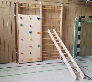 Wall Climbing for Stall Bars,code 221 Climbing