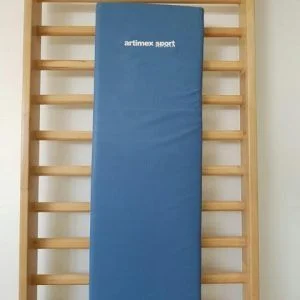 PROTECTIE DIN BURETE PENTRU SPALIER, COD 3456