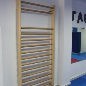 SPALIER PENTRU GIMNASTICA ,2.4 X0.9 M, 15 BARE, COD 262