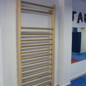 SPALIER PENTRU GIMNASTICA ,2.4 X0.9 M, 15 BARE, COD 262