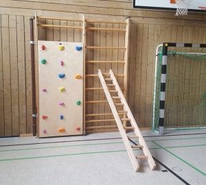 SCARA DIN LEMN PENTRU SPALIER ,200X40 CM, COD 247