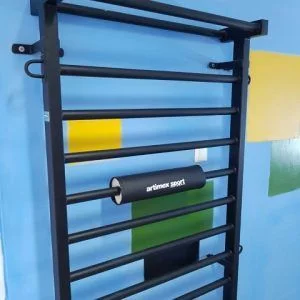 PROTECTIE SPATE SAU CAP PENTRU BARE SPALIER, 298-CILINDRU