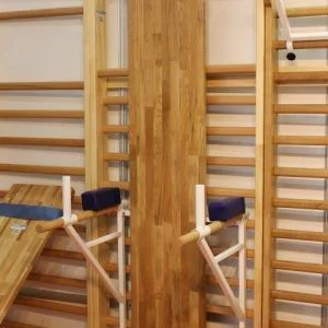 PLACA TIP PLAN INCLINAT SAU ABDOMENE,DIN STEJAR, COD 251-E