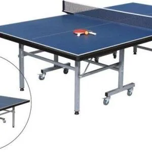 MASA DE PING PONG PENTRU INTERIOR, COD 301