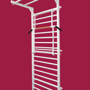 SPALIER DIN METAL, 265X100 CM, MODEL GLADIATOR, COD 231-GLADIATOR-90