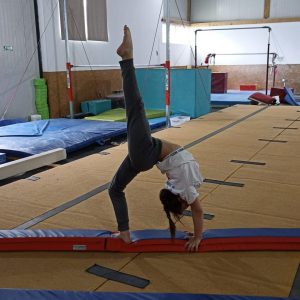 BARNA GIMNASTICA DIN BURETE, PENTRU ADULTI, 600X24X8 CM, COD 103-1