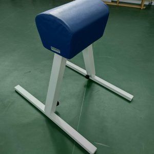 CAPRA GIMNASTICA CU DOUA PICIOARE,COD 215-2