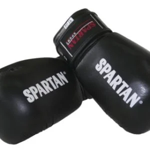 MANUSI BOX DIN PIELE,COD 1170