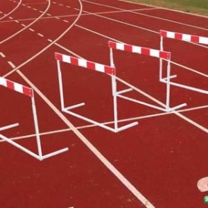 GARD SARITURI ATLETISM DIN OTEL,MODEL SCHOOL,COD 227