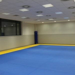 SALTEA JUDO DOJO,2X1 X0.04 M,COD 34125