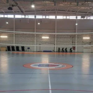 STALPI VOLEI DIN OTEL, MULTIFUNCTIONALI,COD 500