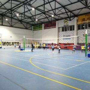 STALPI VOLEI MOBILI,MULTIFUNCTIONALI, DIN OTEL, COD 505