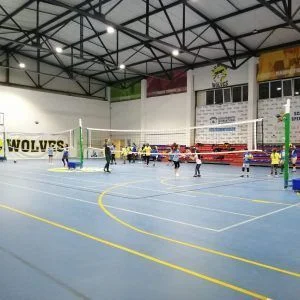 STALPI VOLEI MOBILI,MULTIFUNCTIONALI, DIN OTEL, COD 505