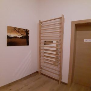 Sprossenwand Wuppertal, 2x0.85m, Artikelnr. 253-Reha-Buche