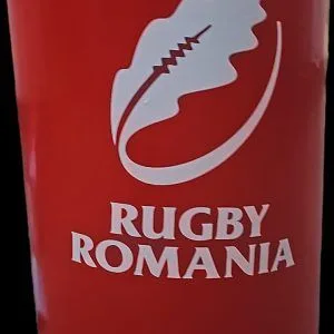 Cilindru burete rugby 65x45 cm,cod 6383 (NOU)